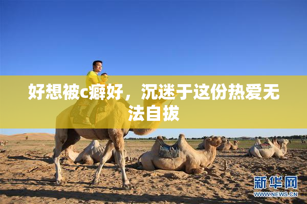好想被c癖好，沉迷于这份热爱无法自拔