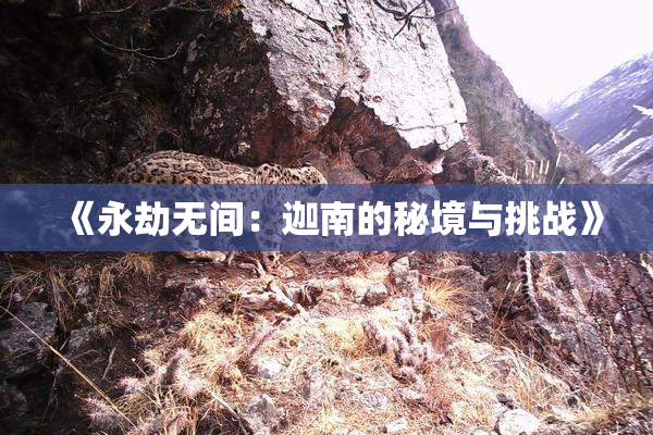 《永劫无间：迦南的秘境与挑战》