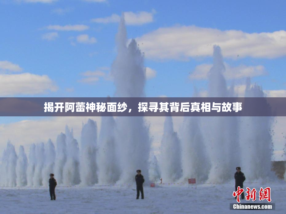 揭开阿蕾神秘面纱，探寻其背后真相与故事