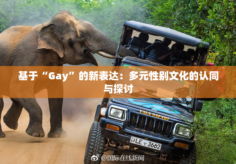 基于“Gay”的新表达：多元性别文化的认同与探讨