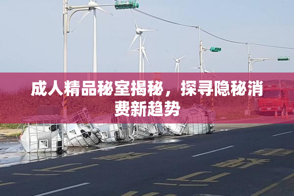 成人精品秘室揭秘，探寻隐秘消费新趋势