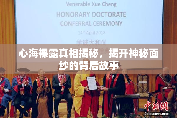 心海裸露真相揭秘，揭开神秘面纱的背后故事