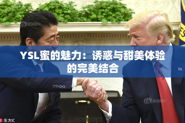 YSL蜜的魅力：诱惑与甜美体验的完美结合