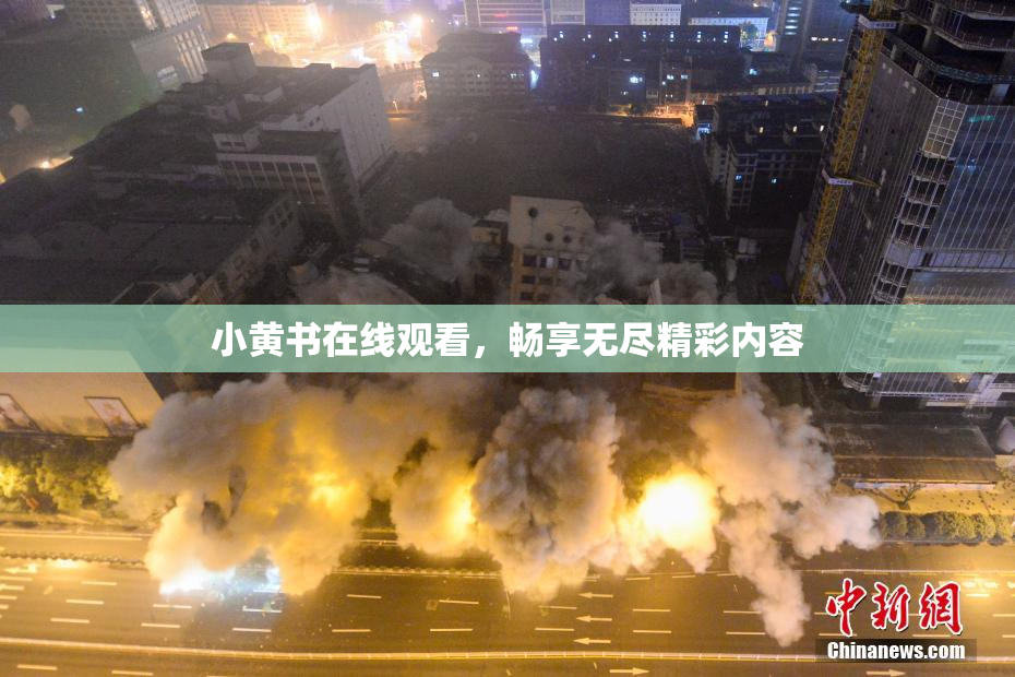 小黄书在线观看，畅享无尽精彩内容