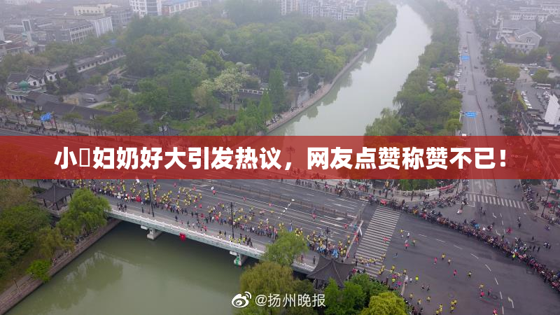 小婬妇奶好大引发热议，网友点赞称赞不已！