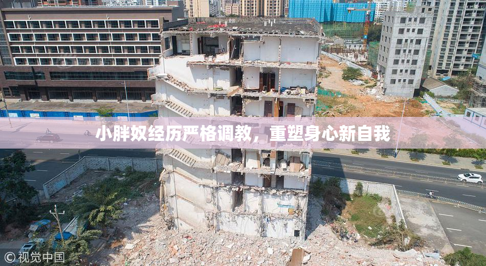 小胖奴经历严格调教，重塑身心新自我