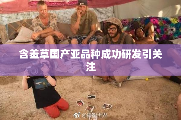 含羞草国产亚品种成功研发引关注