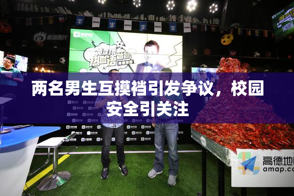 两名男生互摸裆引发争议，校园安全引关注