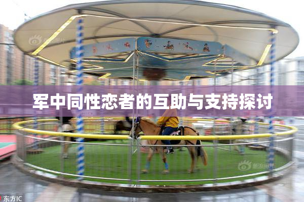 军中同性恋者的互助与支持探讨