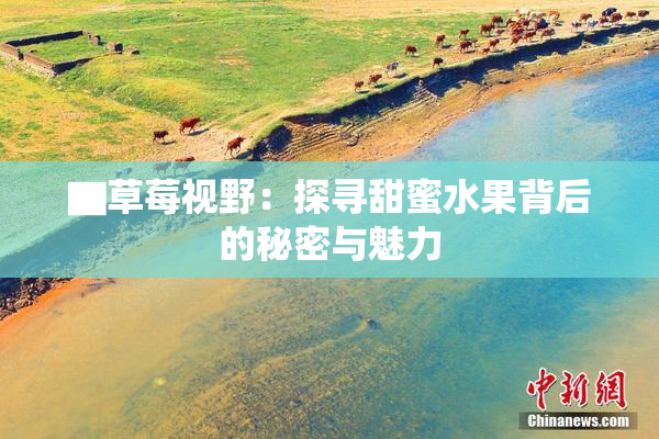 ▇草莓视野：探寻甜蜜水果背后的秘密与魅力