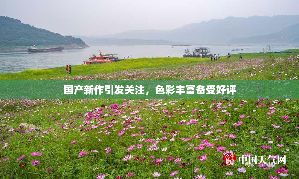 国产新作引发关注，色彩丰富备受好评