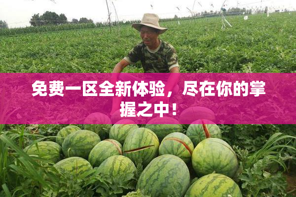 免费一区全新体验，尽在你的掌握之中！