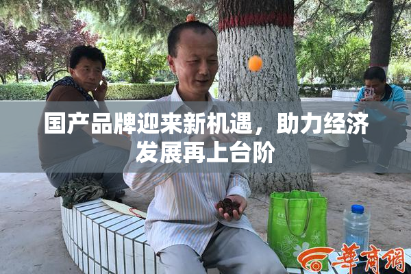 国产品牌迎来新机遇，助力经济发展再上台阶