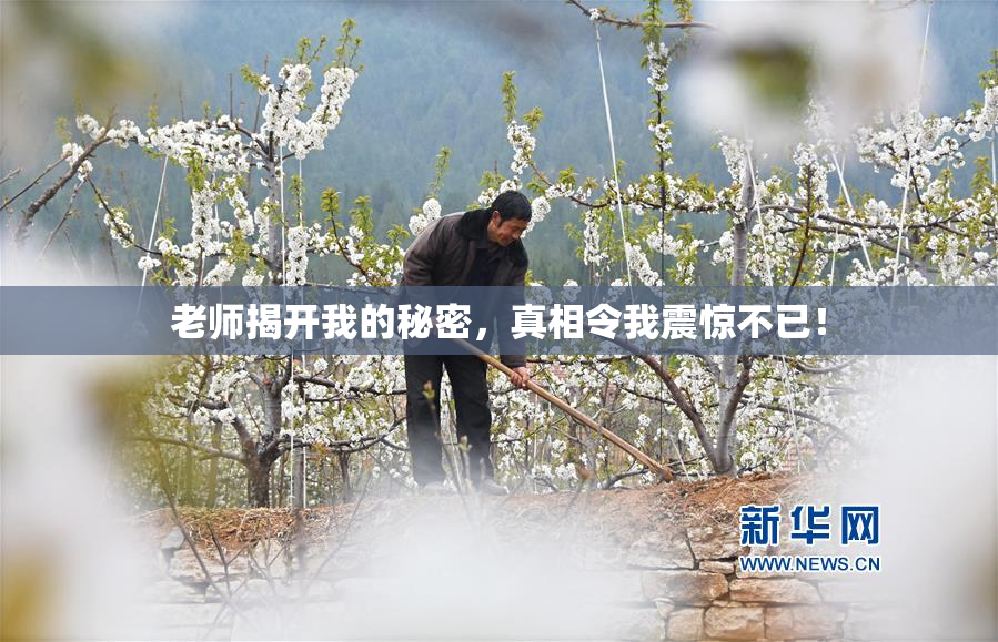 老师揭开我的秘密，真相令我震惊不已！