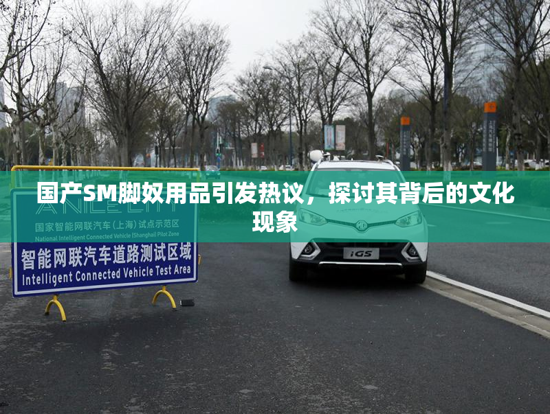 国产SM脚奴用品引发热议，探讨其背后的文化现象