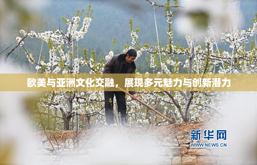欧美与亚洲文化交融，展现多元魅力与创新潜力