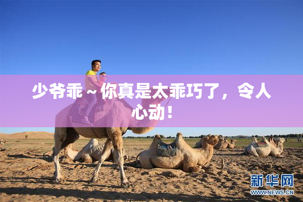 少爷乖～你真是太乖巧了，令人心动！