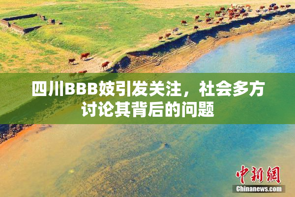 四川BBB妓引发关注，社会多方讨论其背后的问题
