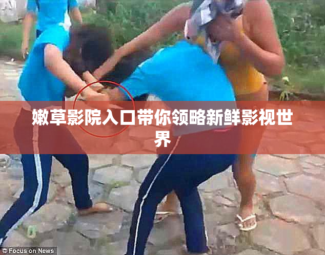 嫩草影院入口带你领略新鲜影视世界