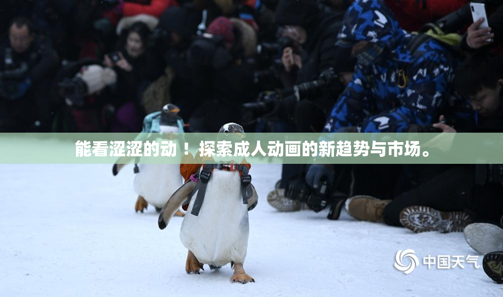 能看涩涩的动 ！探索成人动画的新趋势与市场。