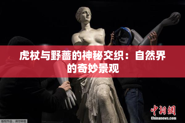 虎杖与野蔷的神秘交织：自然界的奇妙景观