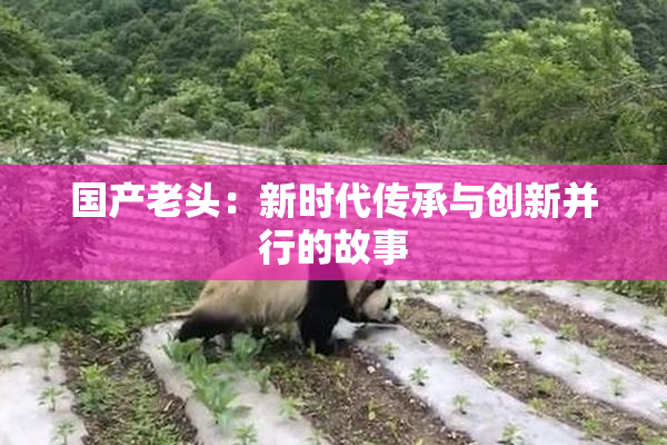 国产老头：新时代传承与创新并行的故事