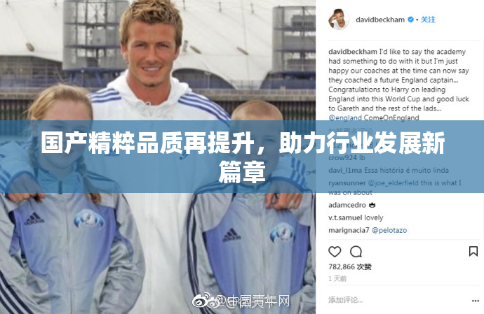 国产精粹品质再提升，助力行业发展新篇章