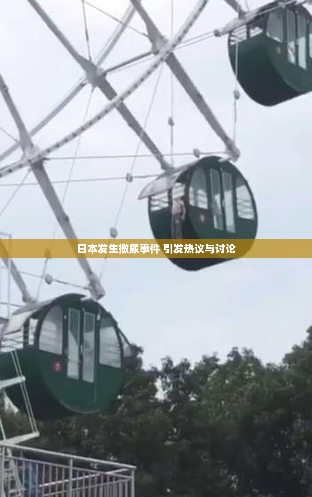 日本发生撒尿事件 引发热议与讨论