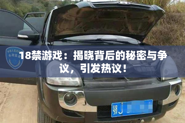 18禁游戏：揭晓背后的秘密与争议，引发热议！