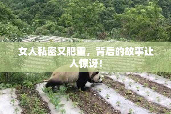 女人私密又肥重，背后的故事让人惊讶！