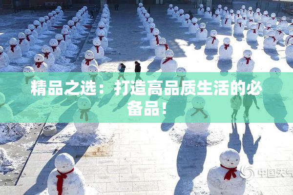精品之选：打造高品质生活的必备品！