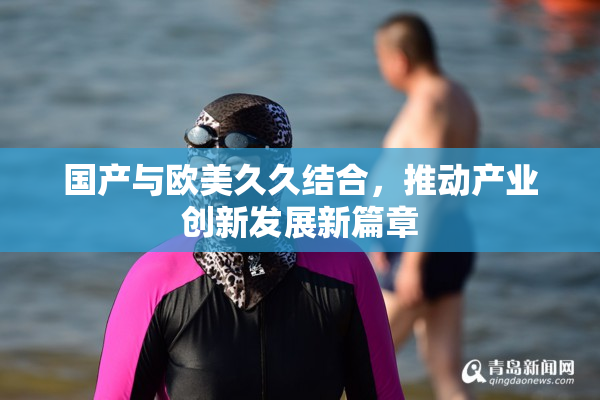 国产与欧美久久结合，推动产业创新发展新篇章