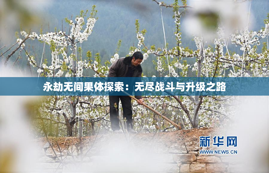 永劫无间果体探索：无尽战斗与升级之路