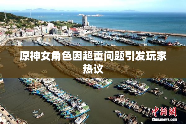 原神女角色因超重问题引发玩家热议