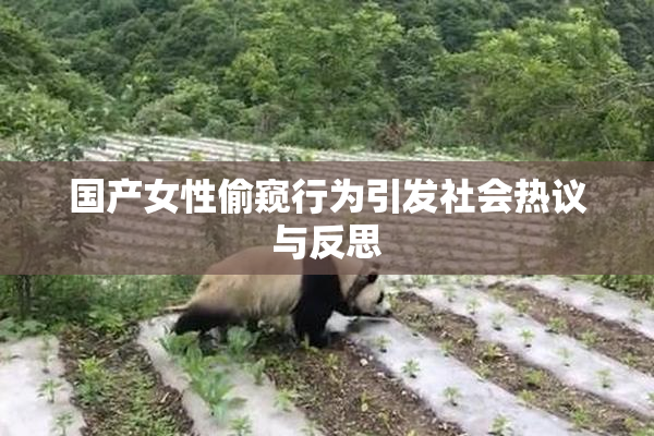 国产女性偷窥行为引发社会热议与反思