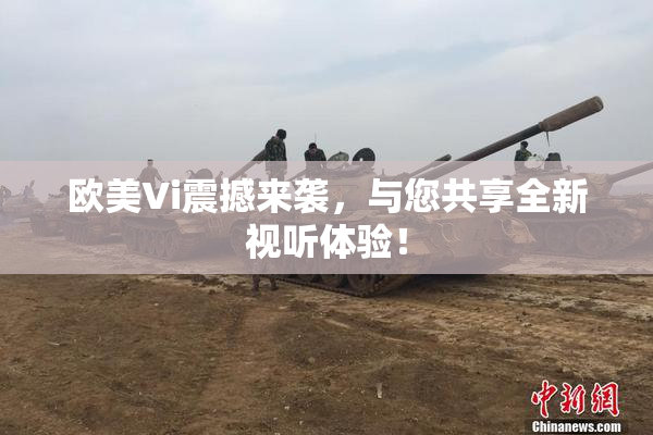 欧美Vi震撼来袭，与您共享全新视听体验！