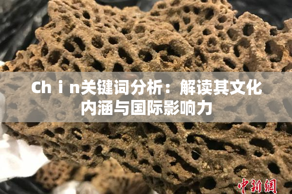 Chⅰn关键词分析：解读其文化内涵与国际影响力