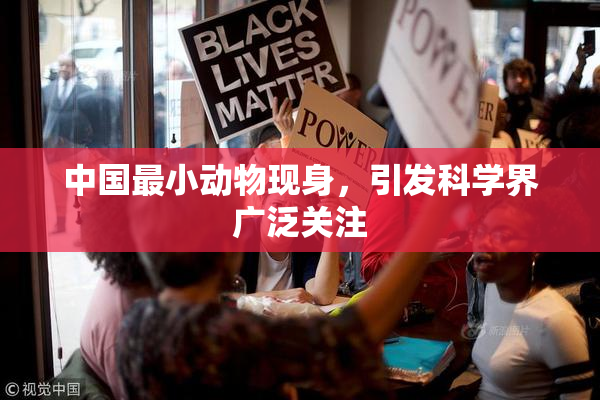 中国最小动物现身，引发科学界广泛关注
