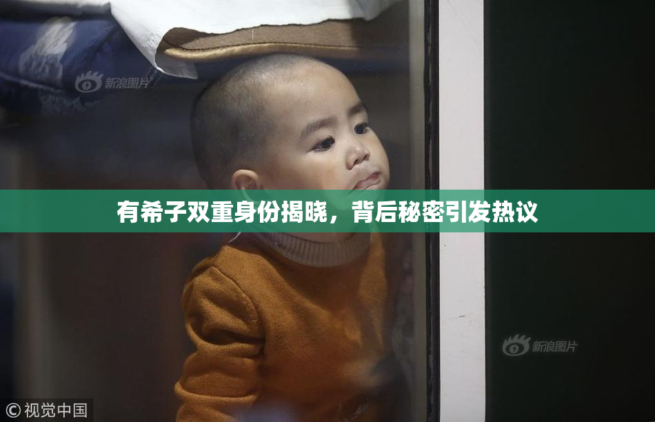 有希子双重身份揭晓，背后秘密引发热议