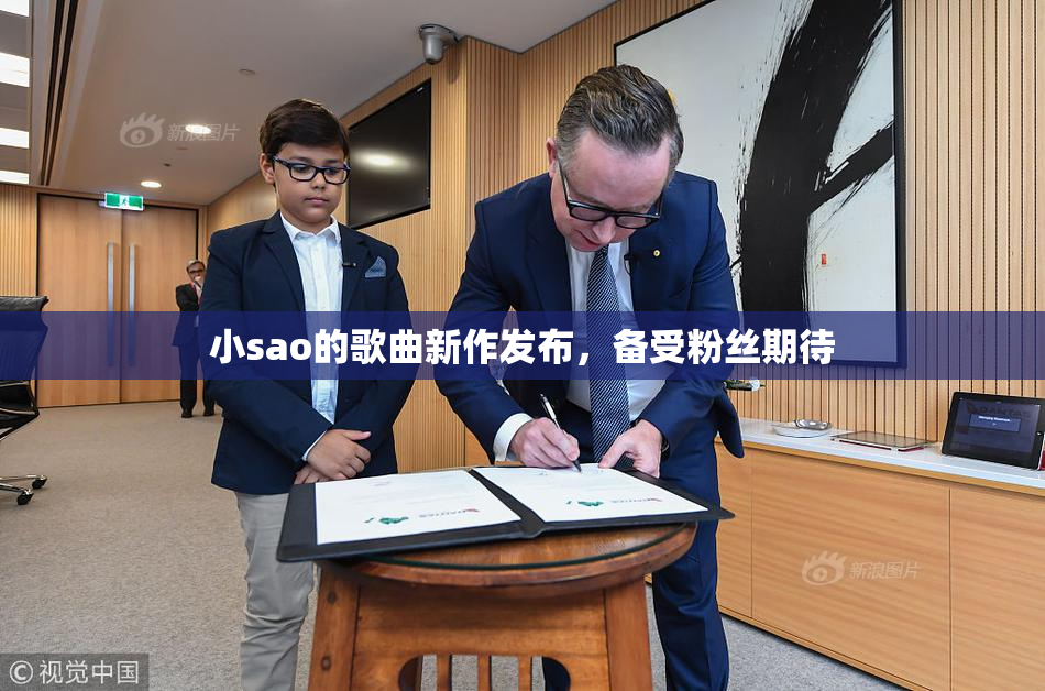 小sao的歌曲新作发布，备受粉丝期待