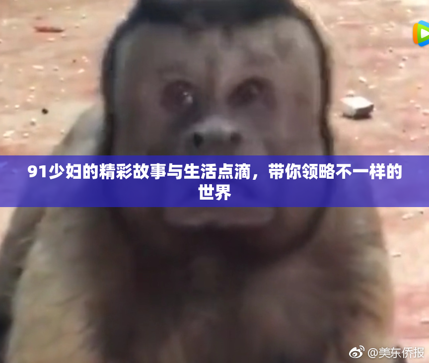 91少妇的精彩故事与生活点滴，带你领略不一样的世界