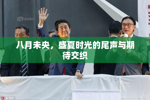 八月未央，盛夏时光的尾声与期待交织