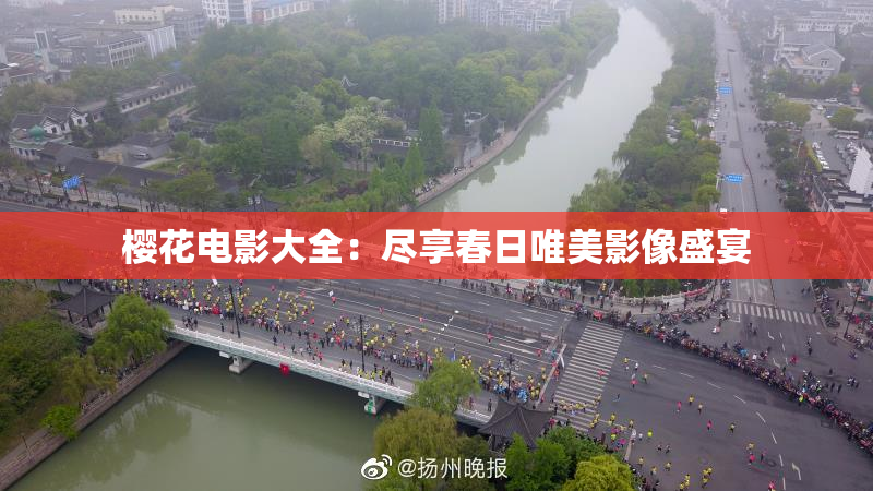 樱花电影大全：尽享春日唯美影像盛宴