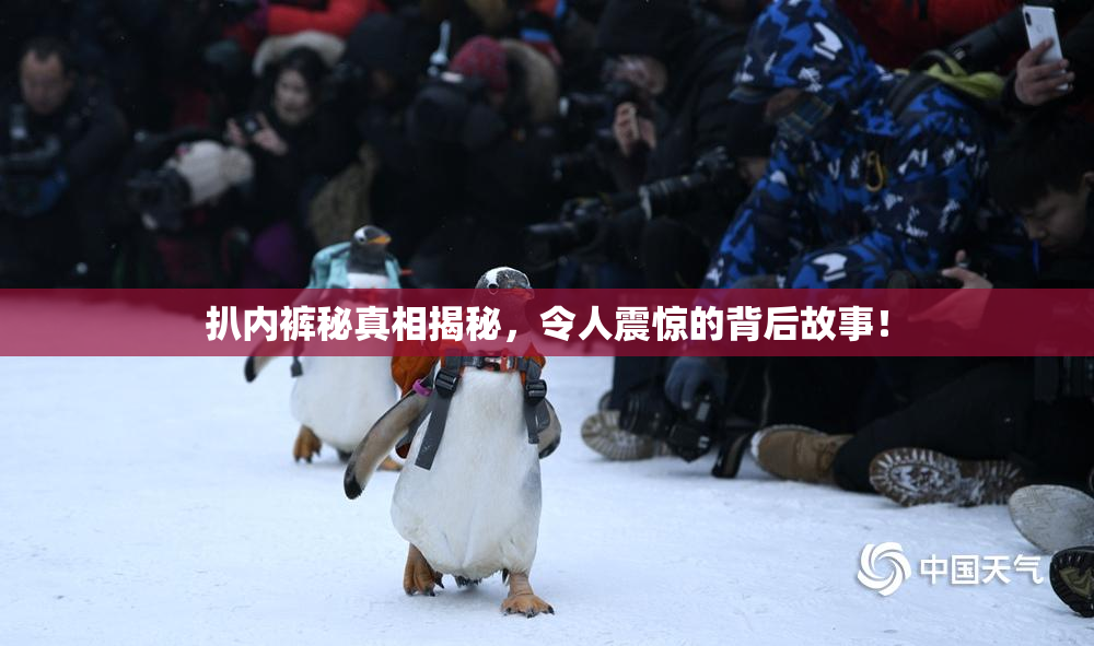 扒内裤秘真相揭秘，令人震惊的背后故事！