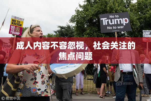 成人内容不容忽视，社会关注的焦点问题