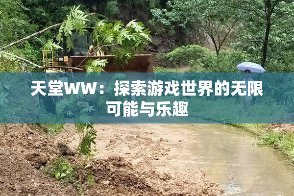 天堂WW：探索游戏世界的无限可能与乐趣