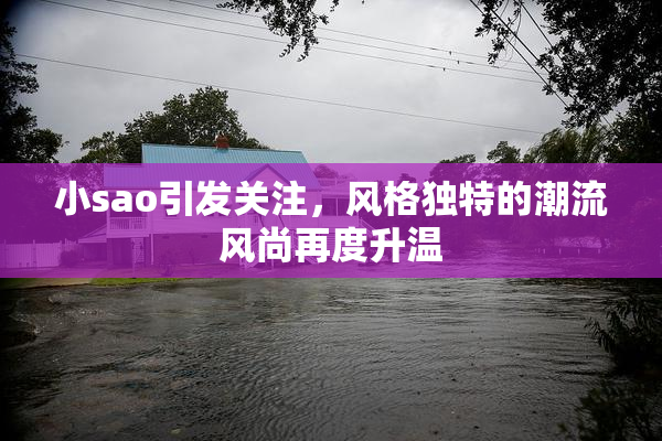 小sao引发关注，风格独特的潮流风尚再度升温