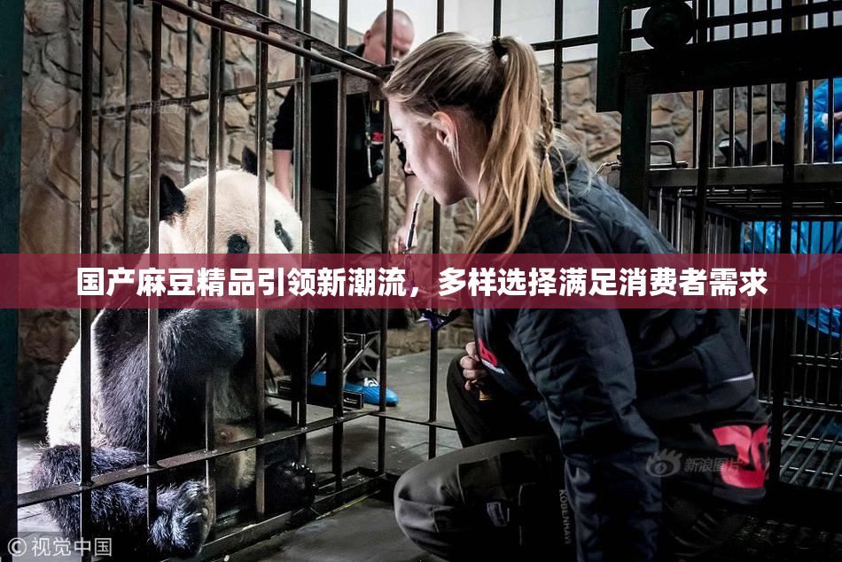 国产麻豆精品引领新潮流，多样选择满足消费者需求