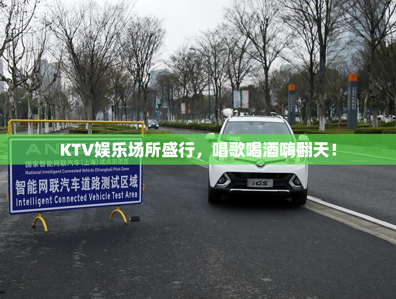 KTV娱乐场所盛行，唱歌喝酒嗨翻天！