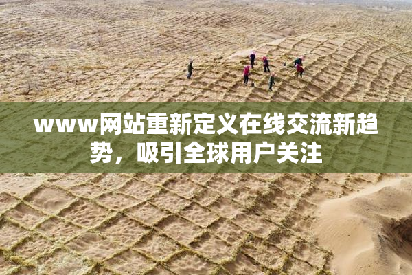 www网站重新定义在线交流新趋势，吸引全球用户关注